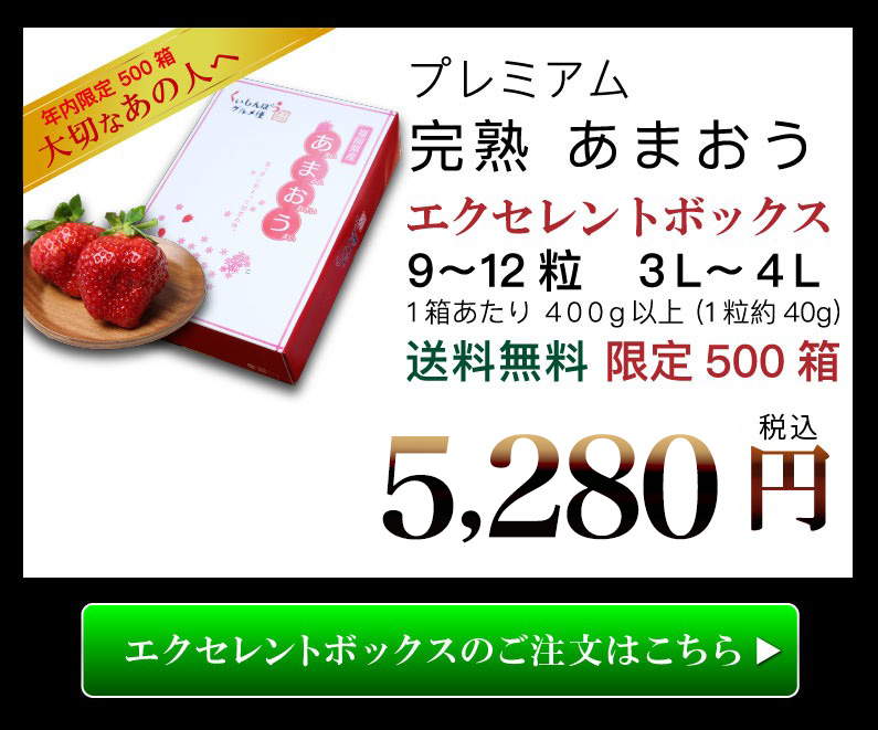 いちご あまおう ギフト 完熟 苺 福岡県産 2L 15粒 デラックス