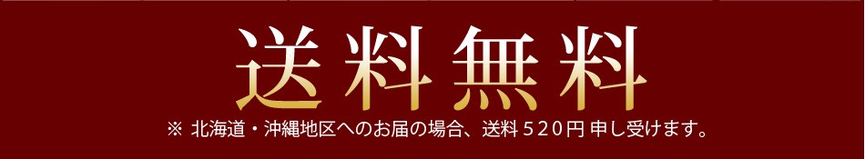 送料無料