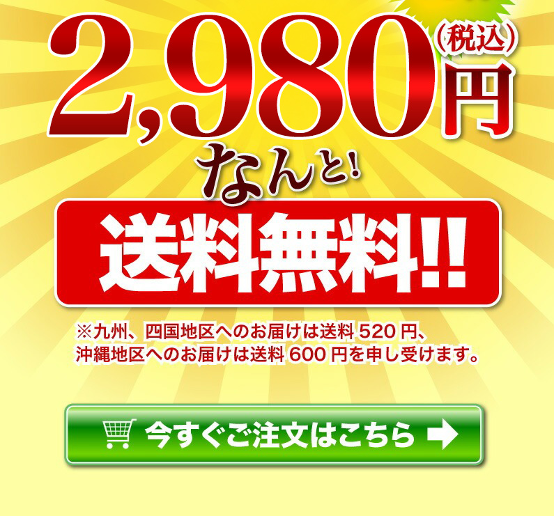  送料無料！！