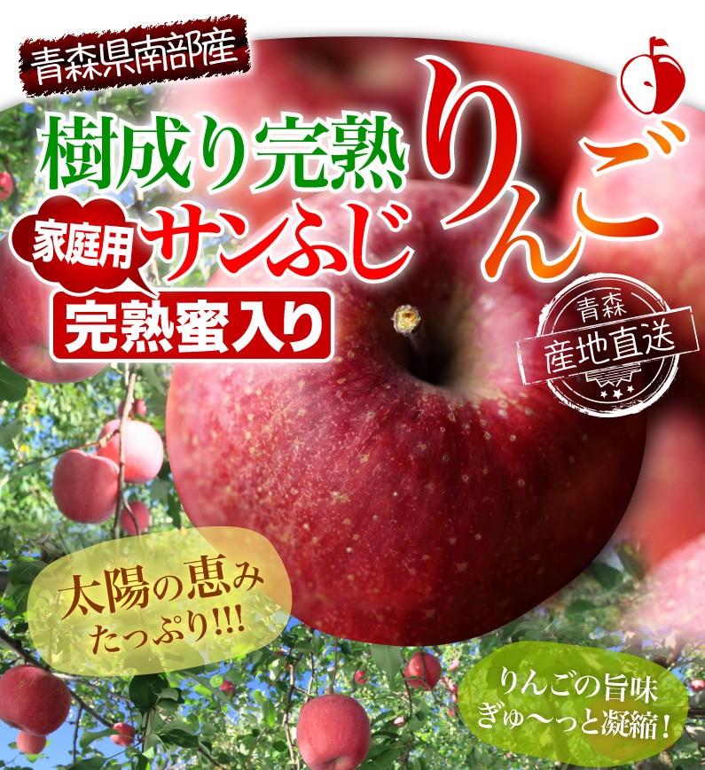 青森県南部産 樹成り完熟 ご家庭用完熟蜜入り サンふじりんご