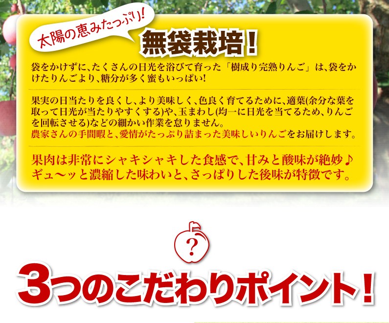 太陽の恵みたっぷり！無袋栽培！3つのこだわりポイント！