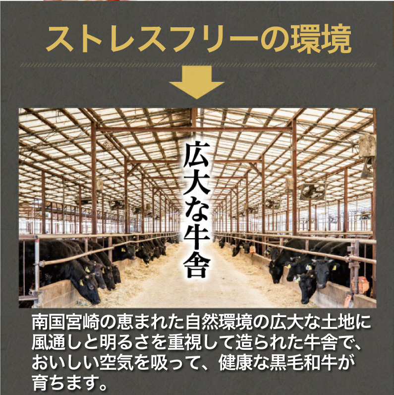 九州産黒毛和牛 最高級 コプチャン＝小腸