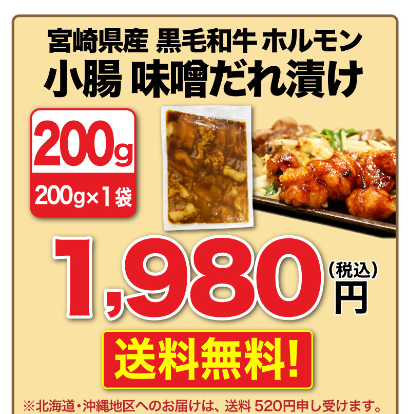 九州産黒毛和牛ホルモン 200g(200g x1袋) 送料無料