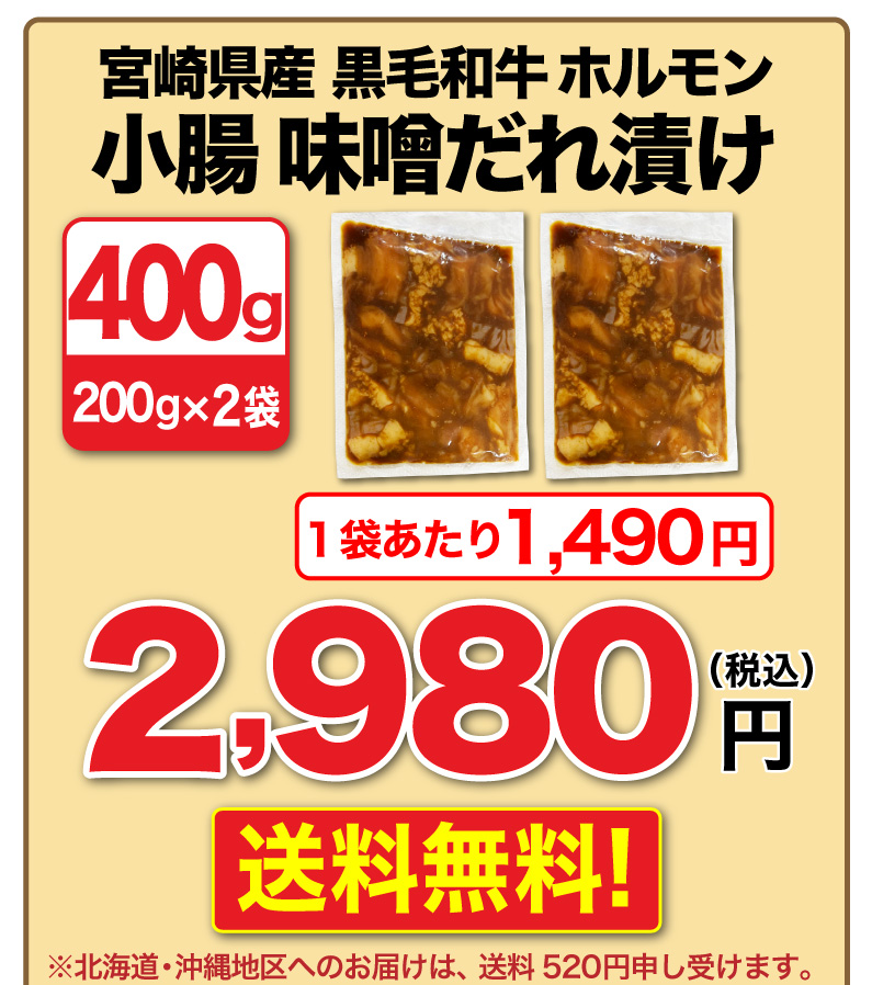 九州産黒毛和牛ホルモン 500g(100g x5袋) 送料無料