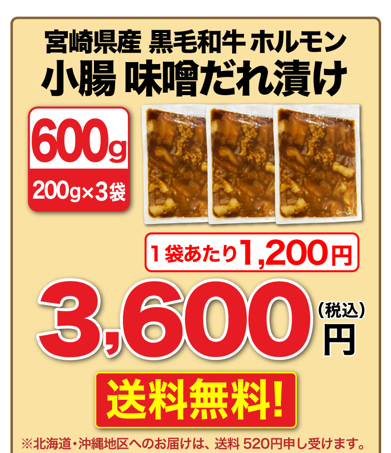 九州産黒毛和牛ホルモン 600g(200g x3袋) 送料無料