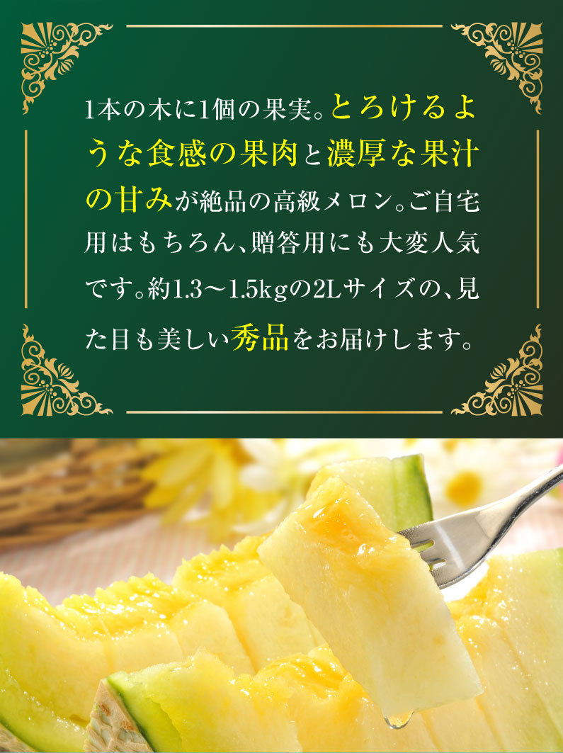 ギフト メロン アールスメロン 秀品 2L/1玉 熊本県産 温室