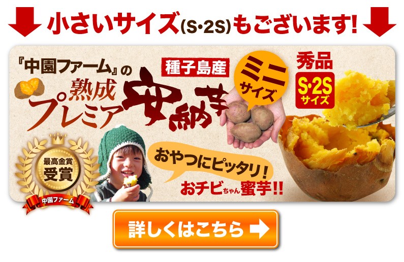 送料無料！今すぐご注文はこちら