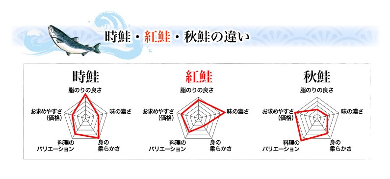 時鮭・紅鮭・秋鮭の違い！