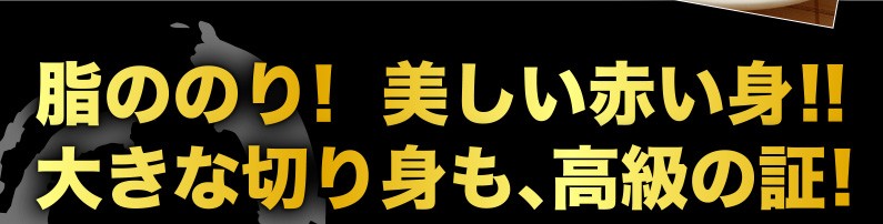 脂ののり！美しい赤い身！大きな切り身も高級の証！