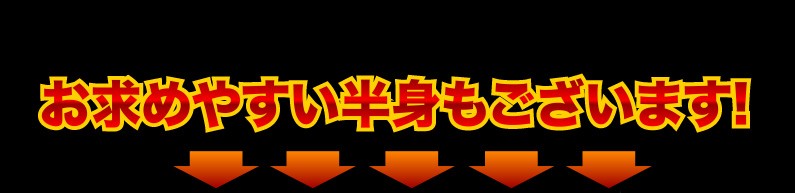 お求めやすい半身もございます！