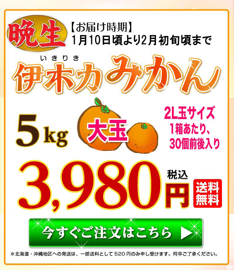 越冬みかん 晩生 完熟 伊木力みかん大玉2L ５kg 長崎産 甘い フルーツ