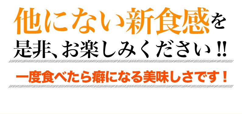 他にない新食感！