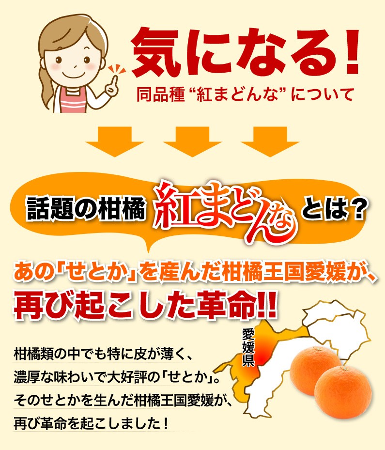 話題の柑橘紅まどんなとは？