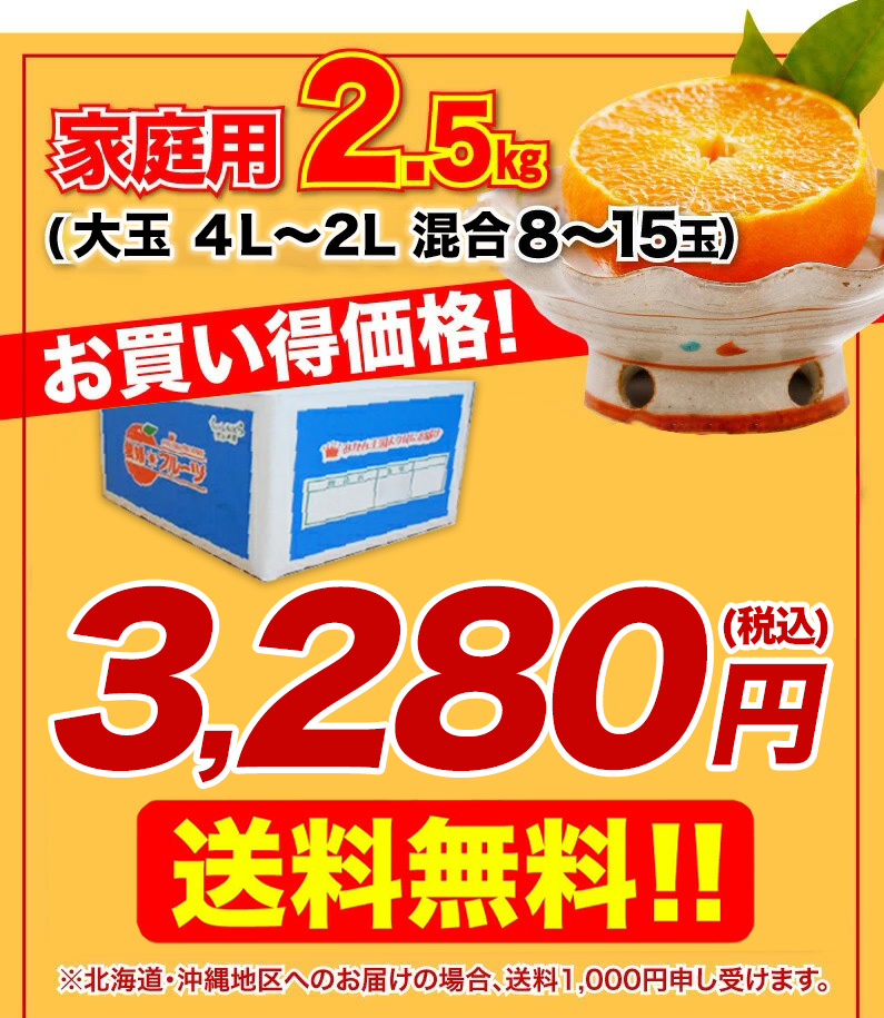 家庭用 2.5kg(4L?Lサイズ混合 8?15玉) 送料無料！！　3280円