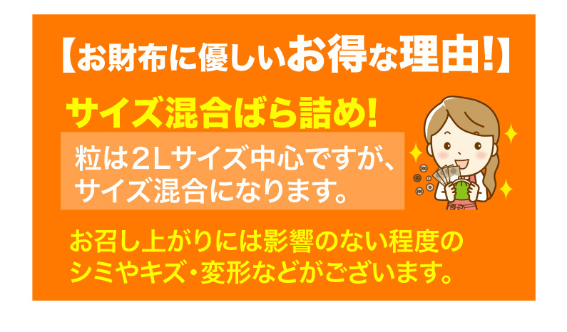 お財布に優しいお得な理由！　2Lサイズ中心