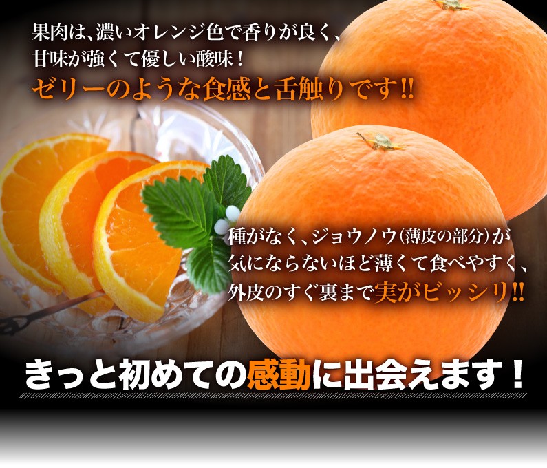 数量限定再入荷！】【出荷時期：1月14日～17日頃】【送料無料