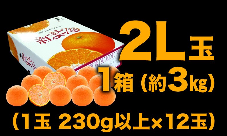 予約商品 お歳暮 ギフト 紅まどんな 贈答 3L玉×3kg 愛媛県 紅