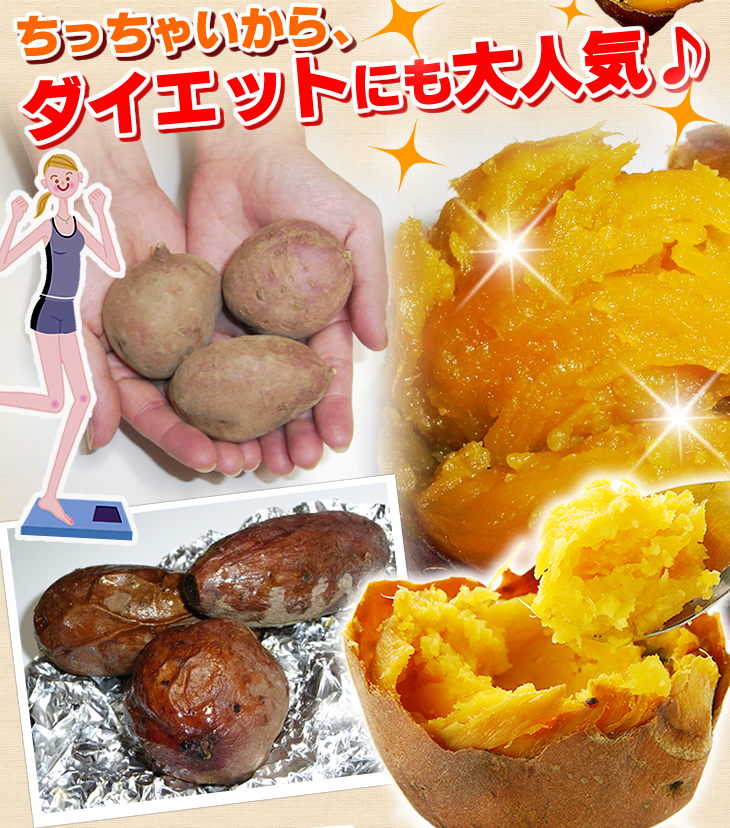 安納芋 種子島産 産地直送 野菜 プチ安納芋2kg 送料無料 ちび