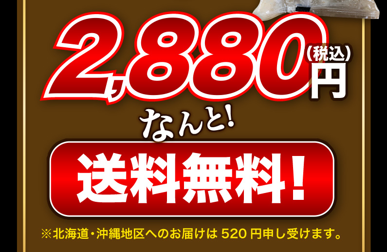 なんと！送料無料！