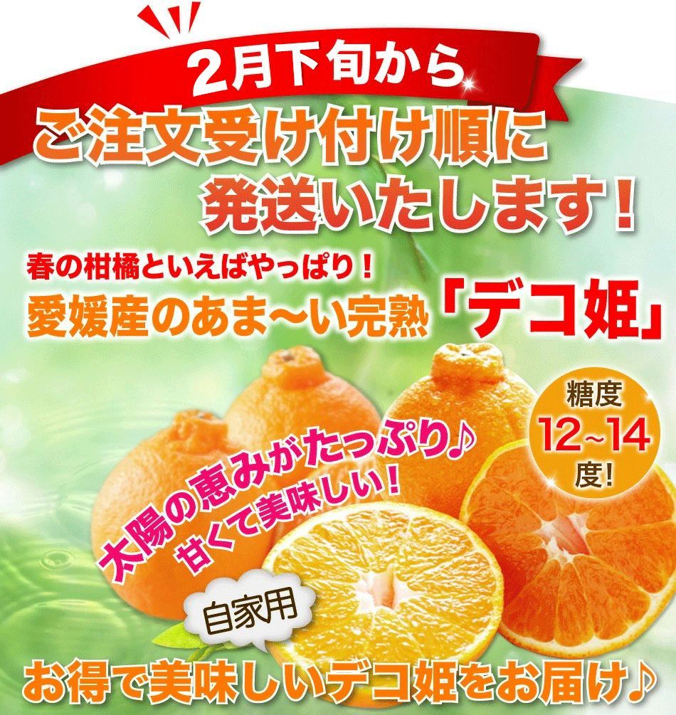 でこぽん 訳あり 早期予約 春みかん デコポンと同品種（不知火）愛媛産