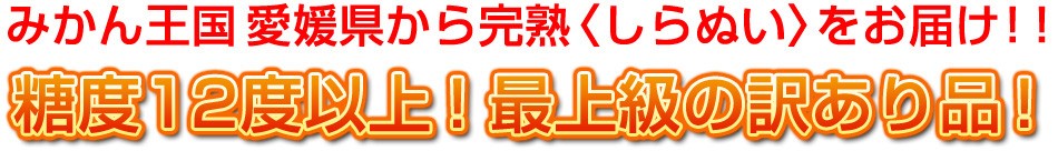 糖度12度以上！最上級の訳あり品！