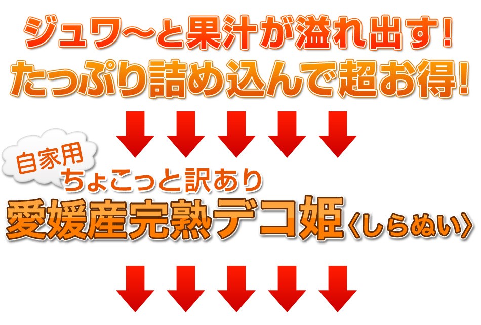 自家用ちょこっと訳あり愛媛産完熟デコ姫＜しらぬい＞