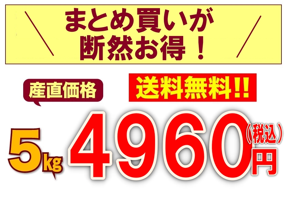 産直価格 5kg 送料無料