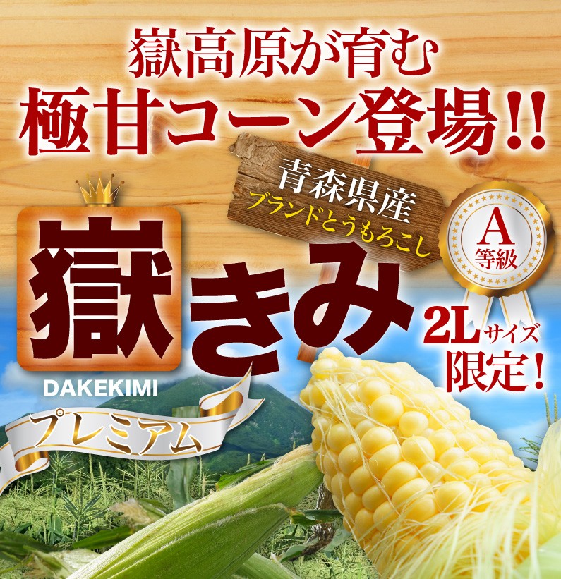 とうもろこし 嶽きみ (恵味) 2箱セット 朝採り 産地直送 青森県産