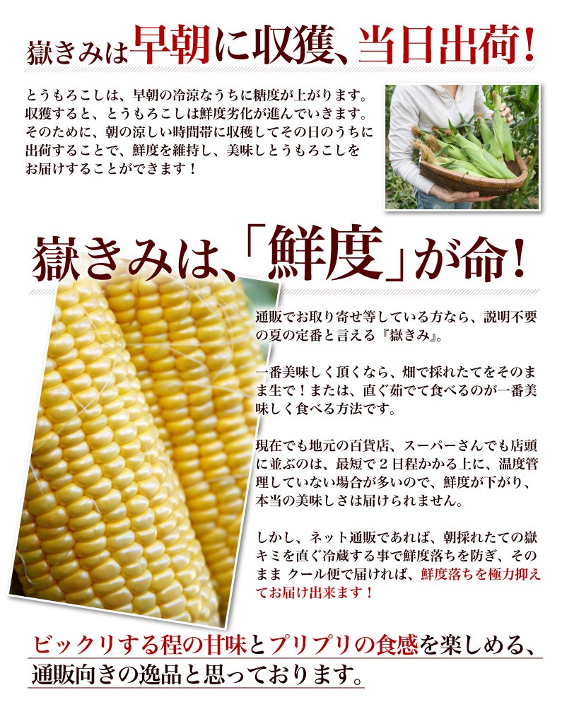 とうもろこし 嶽きみ (恵味) 早得 朝採り 産地直送 青森県産 プレミアムA等級 2Lサイズ 10本入 ×1箱 極甘 コーン 送料無料 Y蔵  :dakekimi010:くいしんぼうドットコム - 通販 - Yahoo!ショッピング