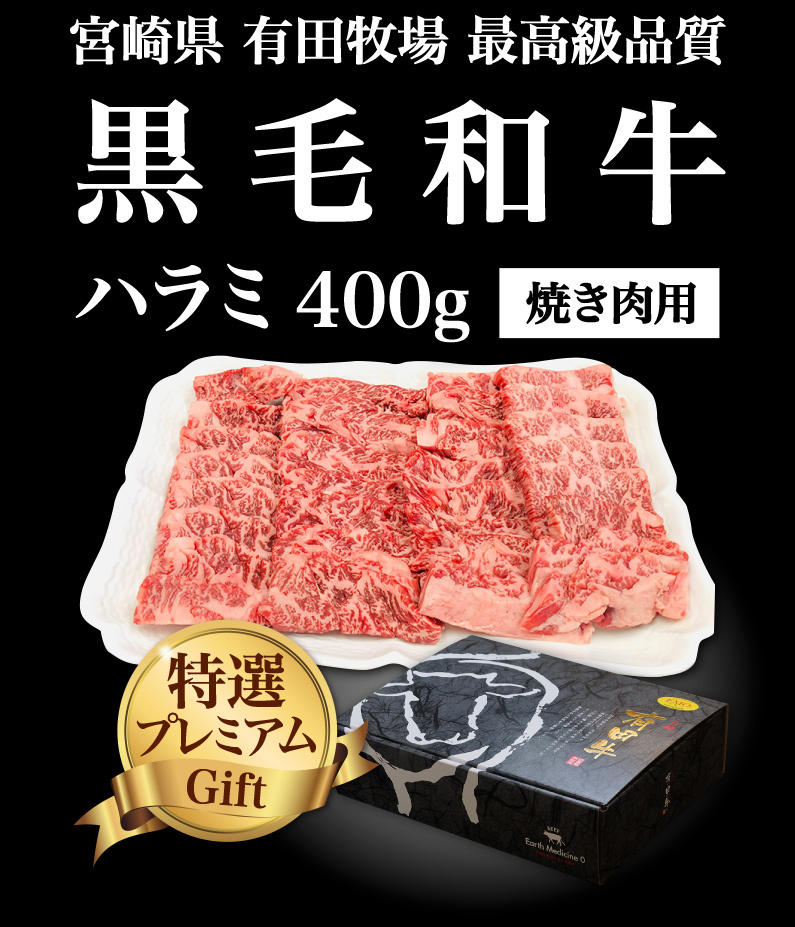 ギフト 食べ物 肉 黒毛和牛 宮崎県産 有田牛 最高級品質 ハラミ焼肉用 400g 冷凍 化粧箱入 送料無料 Y凍 : emo-harami :  くいしんぼうドットコム - 通販 - Yahoo!ショッピング