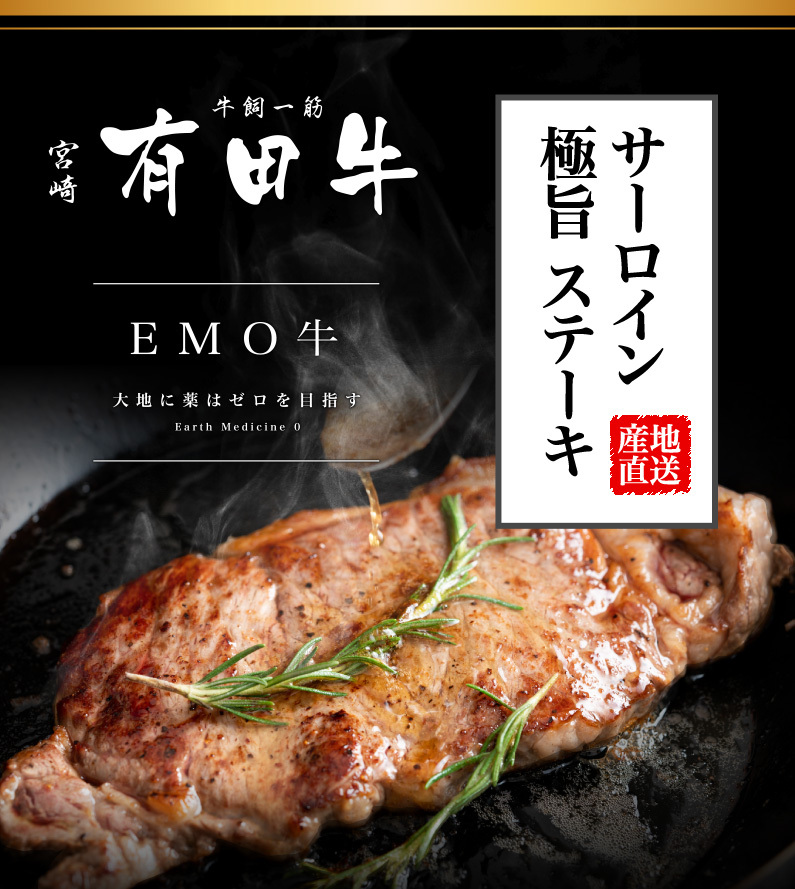 宮崎県有田牛EMO BEEF サーロイン極旨ステーキ