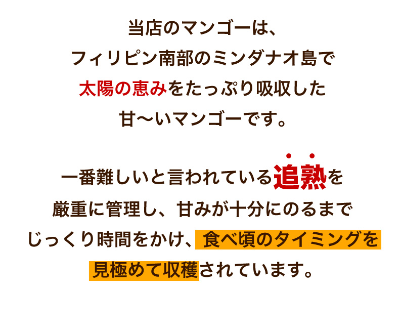 当店のマンゴーは太陽の恵みをたっぷり吸収した甘〜いマンゴーです