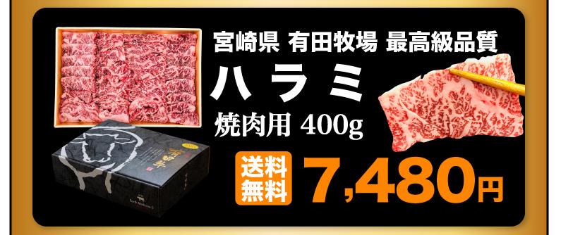 宮崎県有田牧場最高級品質 ハラミ 焼肉用 送料無料