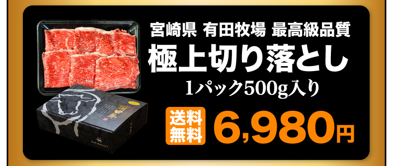 宮崎県有田牧場最高級品質 極上切り落とし 1パック500g入り 送料無料