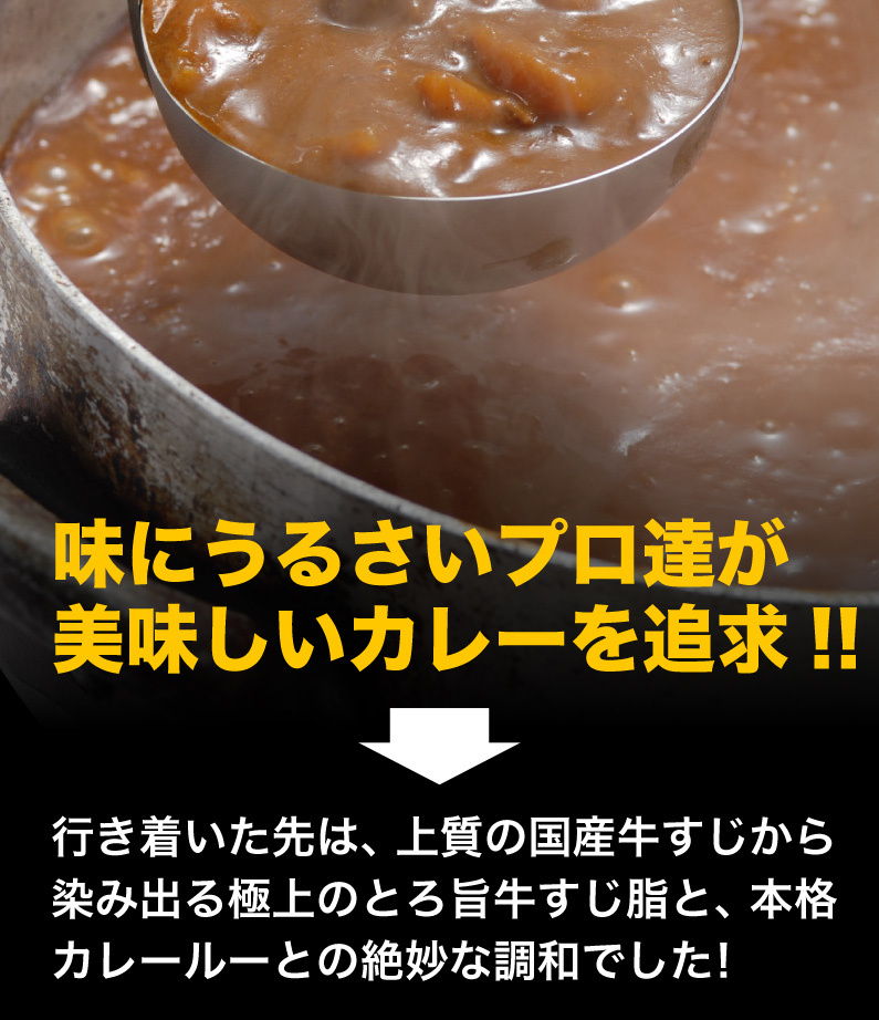 カレー レトルト 九州産黒毛和牛 A等級牛すじ使用 極旨牛すじカレー 2食 本格カレールー 自然素材 独自ブレンド 簡単調理 時短 メール便 送料無料