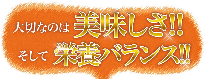 大切なのは美味しさ！！そして栄養バランス！！