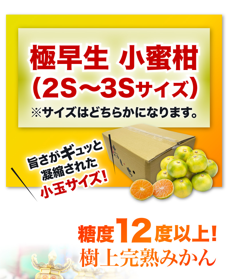 極早生 小蜜柑 糖度12度以上！樹上完熟みかん