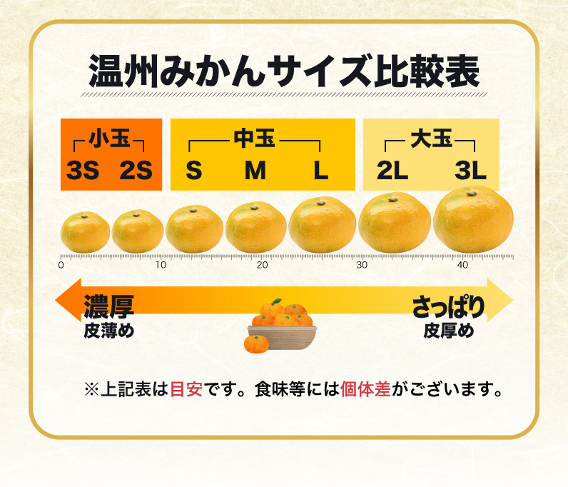 温州みかんサイズ比較表