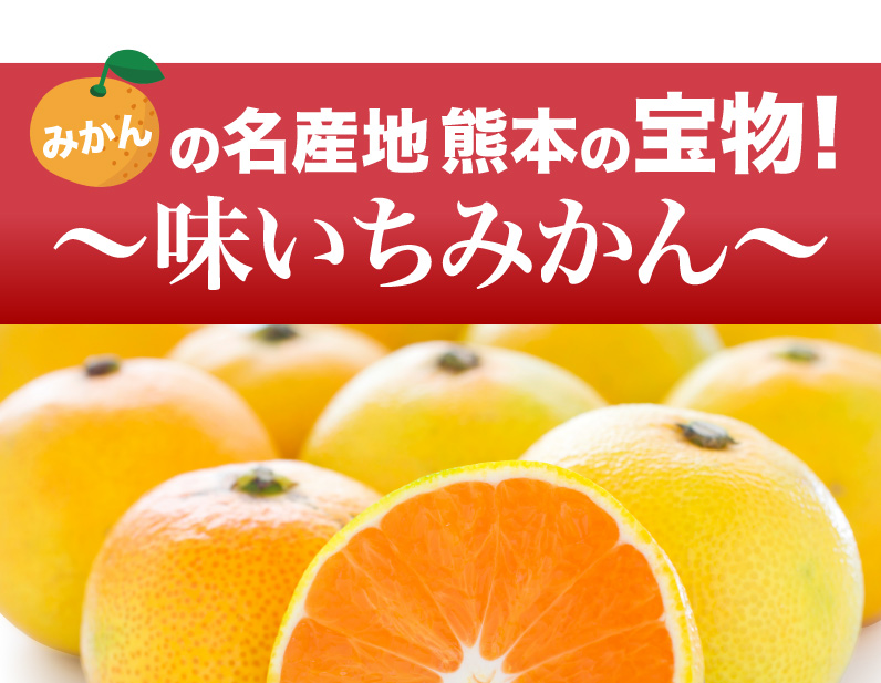 みかんの名産地熊本の宝物！味いちみかん