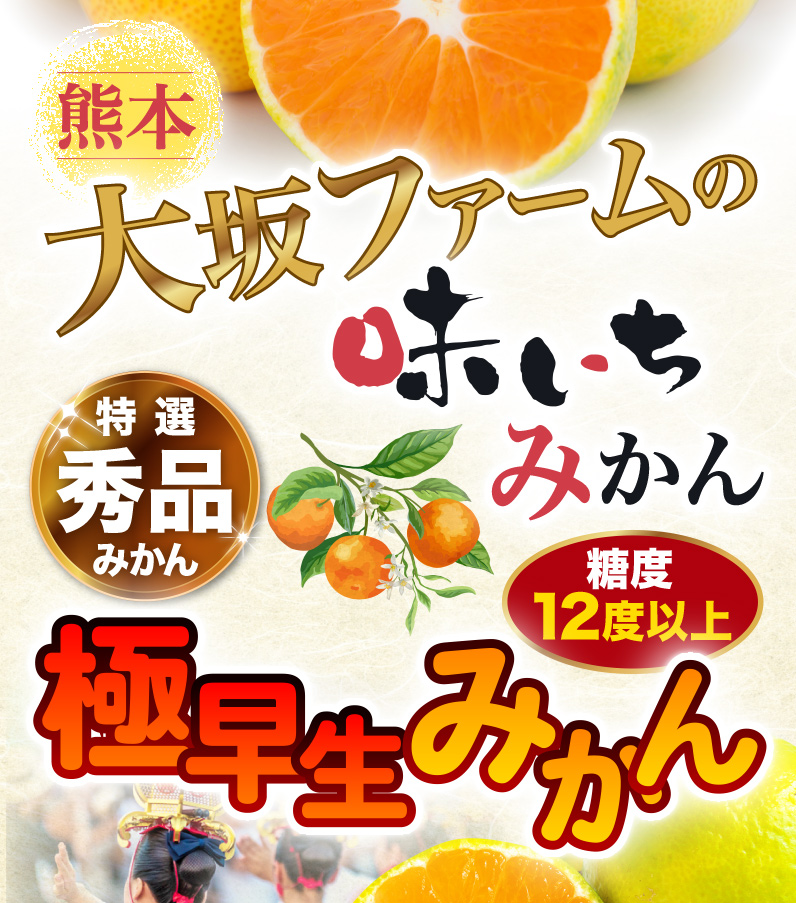 熊本大坂ファームの味いちみかん 極早生みかん