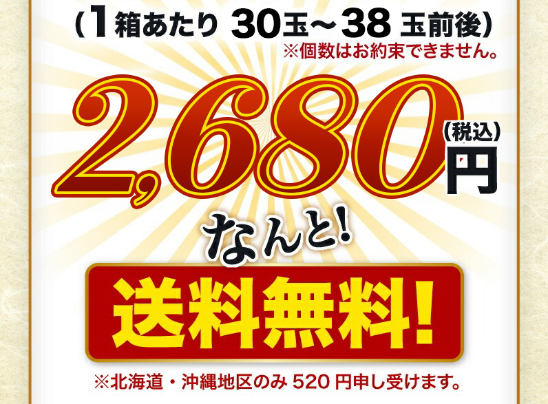 なんと！送料無料！