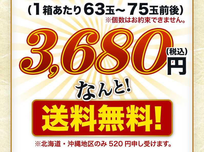 なんと！送料無料！