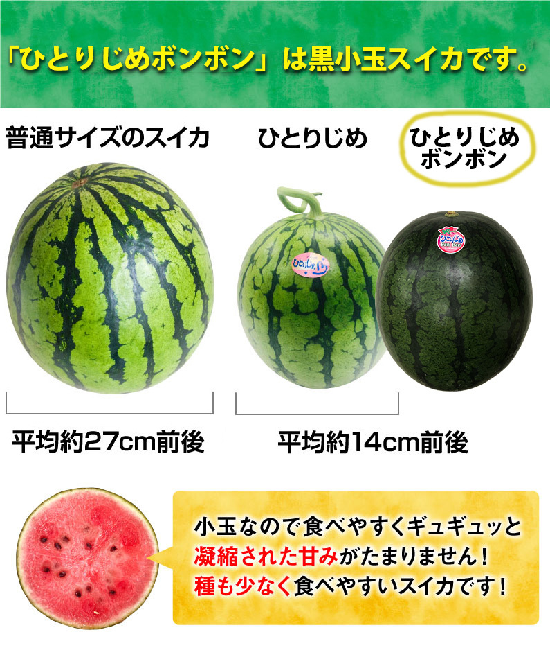 お中元 ギフト 黒小玉スイカ ひとりじめボンボン 秀品 ２玉 熊本県産 植木スイカ 送料無料 小玉 すいか フルーツ 果物 甘い フルーツの里  産地直送 贈答用 S常 :hbon02:くいしんぼうドットコム - 通販 - Yahoo!ショッピング