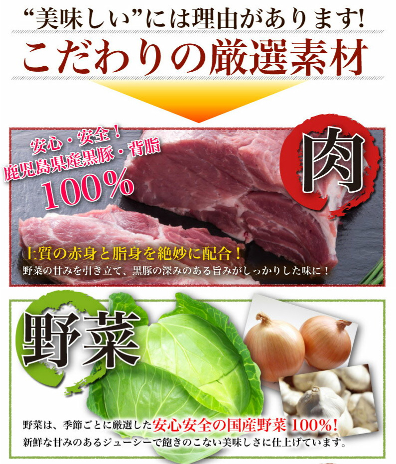 博多一口餃子＆宮崎国産銘柄鶏日南どり唐揚げお得セット