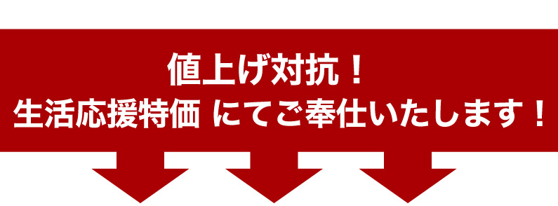 博多一口餃子＆宮崎国産銘柄鶏日南どり唐揚げお得セット