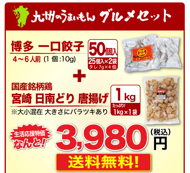 博多一口餃子＆宮崎国産銘柄鶏日南どり唐揚げお得セット