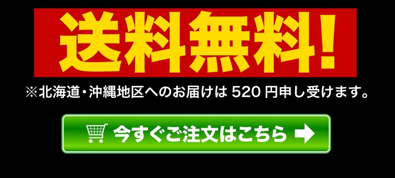 送料無料！今すぐご注文はこちら