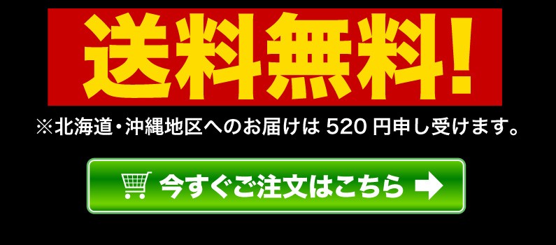 送料無料！今すぐご注文はこちら