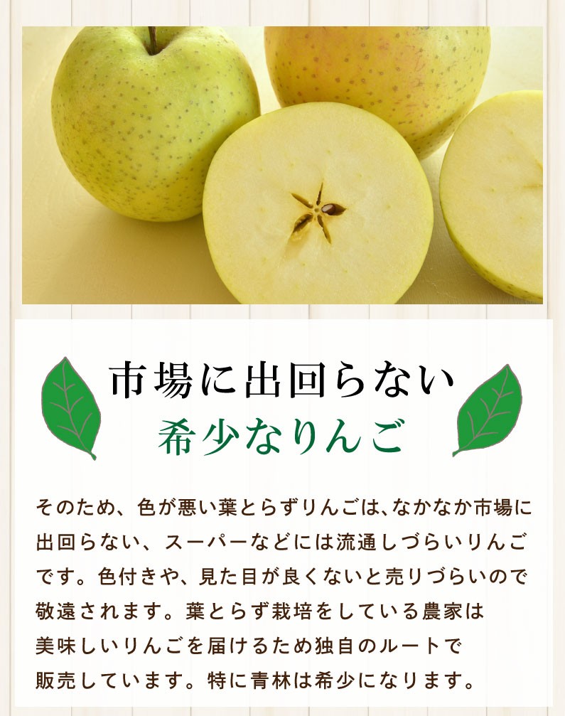 青りんご リンゴ ギフト 青林 青森 葉とらず 贈答用 3kg(8〜13玉) 送料無料 フルーツ お誕生日 内祝い プレゼント 秀品 産直 Y常  :hsrg03:くいしんぼうドットコム - 通販 - Yahoo!ショッピング