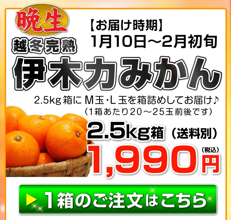 越冬みかん 晩生 完熟 伊木力みかん大玉2L ５kg 長崎産 甘い フルーツ